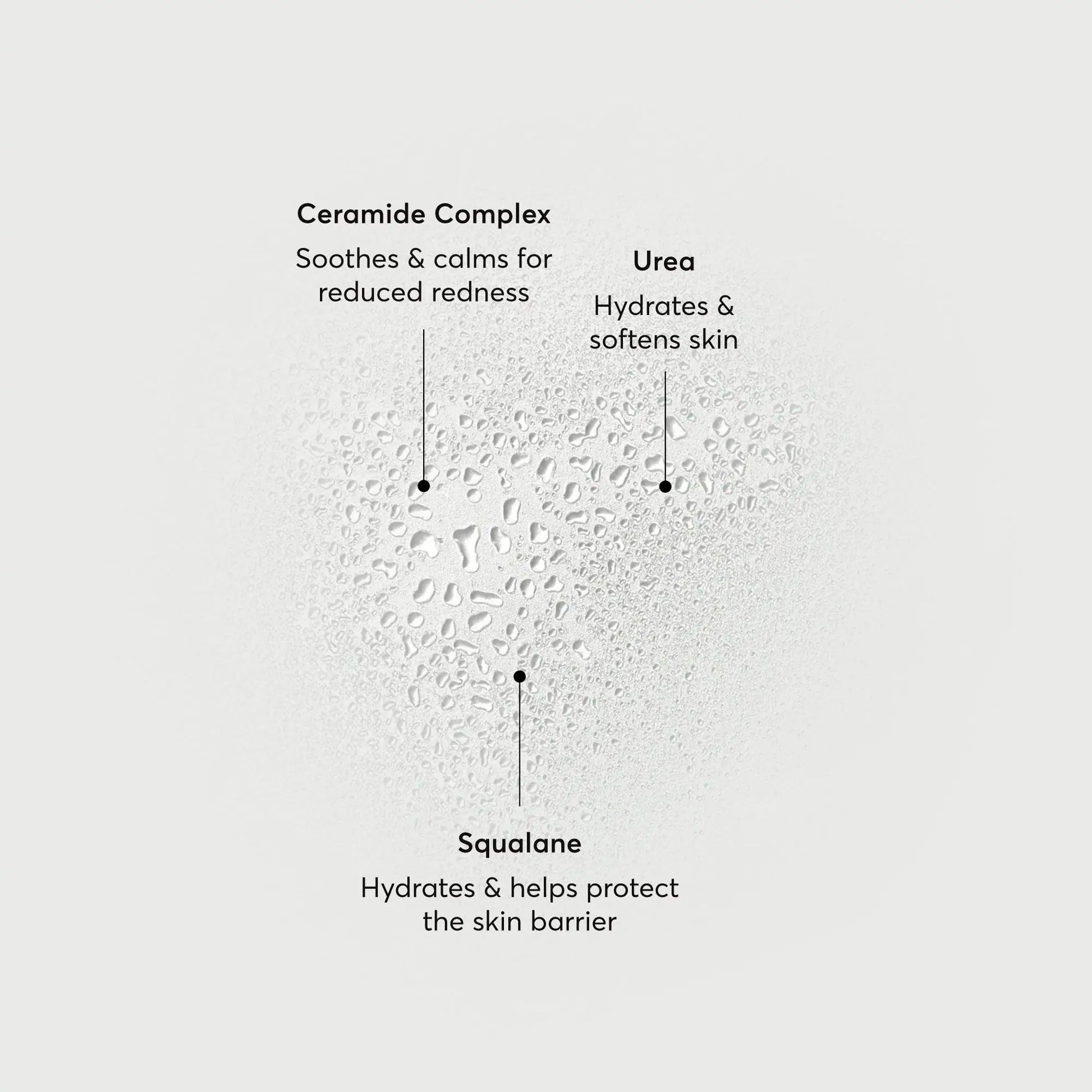 barrier-bounce-bi-phase-mist-i5 NATR-10167-Alt-Images-Barrier-Bounce-Bi-Phase-Toner-Mist_01.webp
